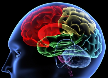 Cognitive Load